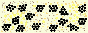 Rozdíl mezi působením rejuvenační a změkčující přísady (Holmes, 2016)
